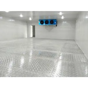 Cold Room / Chiller Room / Cooling Room for Flowers and Vegetables