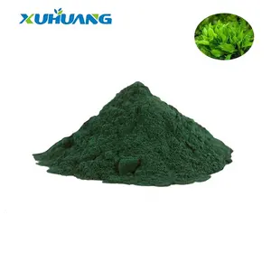 Extrato de espirulina orgânica natural pura, venda quente, pó de platensis, espirulina, amostra livre de amostra disponível