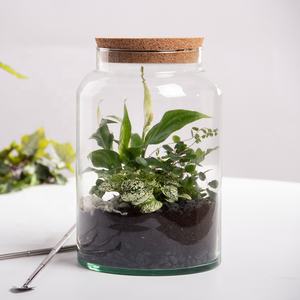 AGG68 Esschert-Design dekoratives halböffnete Flasche mini kleines <span class=keywords><strong>Terrarium</strong></span> Großhandel Versorgung Pflanzen <span class=keywords><strong>Terrarium</strong></span> mit Korkdeckel - Product Image 4