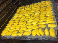 Offre Spéciale OEM Emballage Professionnel Mangue Séchée Non-OGM 300g 500g 1kg Vente en Gros en Vrac Fruits Séchés Processus de Conservation au Sirop