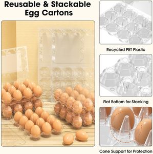 Factory Wholesale PET Clear <b>Plastic</b> Food Grade Folding Rectangle Egg Trays Holder <b>Box</b> Reusable 15-Hole Custom Size Egg Packaging - Product Image 3