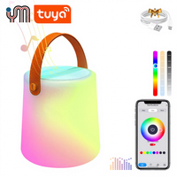 Lampe LED RGB sans fil portable avec haut-parleur, 16 millions de couleurs, contrôle par application, écologique, petite taille, pour extérieur, table, intensité réglable, étanche
