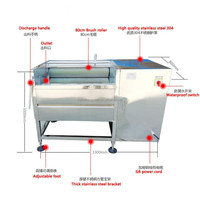 Aardappel Wasmachine Peeling Machine Aardappel Wasmachine En Dunschiller Machine