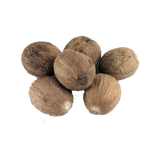 Precio al por mayor Extracto de hierbas Suplemento Nuez moscada Extracto en polvo Nuez moscada en polvo de alta calidad - Product Image 3