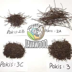 Sustrato y Fondo de Helecho Árbol, Excelente Adición para Terrarios Tropicales para Aumentar la Atractividad - Product Image 2