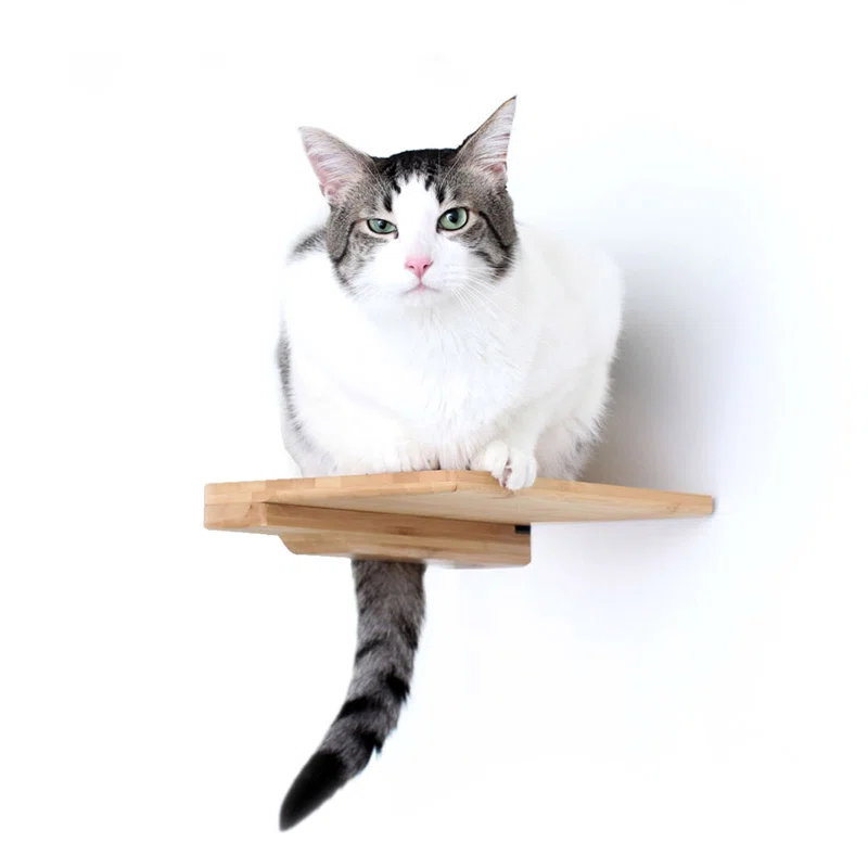 ธรรมชาติ