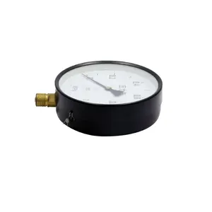 All Stainless Steel 200mm Pointer Dial Wate Liquid Pressure Gauge 1Mpa Boiler Pressure Measurement Dial Hydraulic Gauge