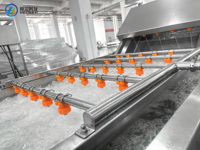 Commerciële apparatuur voor het wassen en reinigen van fruit en groenten, geschikt voor fruit- en groenteverwerkingsbedrijven