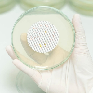 Papeles de Filtro Hidrófilos de Microfibra de Celulosa de Calidad Estable, 40 Mallas, 1um, Módulo de Membrana Cuadrículada CN para Detección Bacteriana - Product Image 2