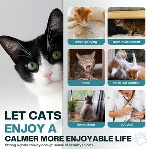 Effectieve Veilige Kattenferomonen Kalmerende Diffuser Kit Voor Verlichting Van Kattenangst 1 Diffuser 4 Navulling 48Ml Oplaadbaar - Product Image 3