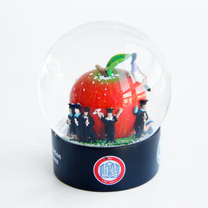 مشغولات راتنج مخصصة كرة ثلج لحفلات التخرج تذكارية جامعية للمنزل ديكور داخلي تصميم التميمة الزجاج - Product Image 3