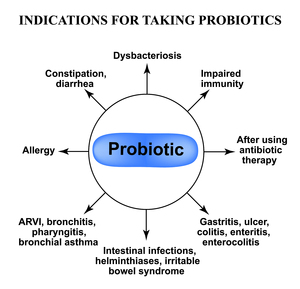 Mejor precio bacterias Lactobacillus Heiveticu hombres probióticos Streptococcus Thermophilus polvo - Product Image 5