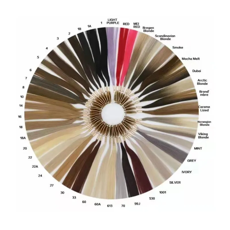 2024 nouvelles couleur enracinée Balayage belles couleurs pour les Extensions de cheveux couleur correspondant roue anneau couleur Swatch