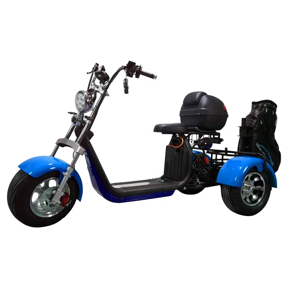 Nieuwe Hoge Kwaliteit Dikke Band 3 Wiel Citycoco Elektrische Driewieler Golf Scooter 2000W Accessoires