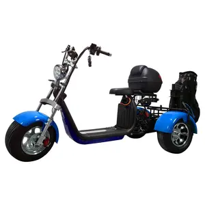 Nuovo pneumatico grasso di alta qualità 3 ruote Citycoco triciclo elettrico Golf Scooter 2000W accessori