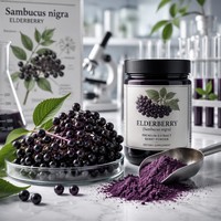 Natuurlijk Wild Vlierbessen Fruitpoeder FVP-37 Voedingskwaliteit Anthocyanine Instant Wateroplosbaar Sappoeder 1kg Trommel/Fles Verpakking