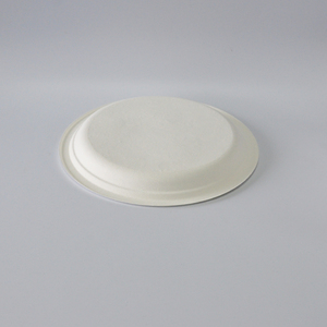 Meilleur Prix Assiettes jetables en bagasse de canne à sucre biodégradable de 10 pouces pour plats à emporter - Product Image 5