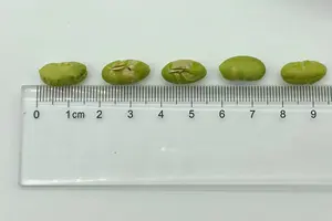 Snacks de Edamame Cuisinés en Gros, Riches en Protéines, Certifiés Casher, Faible Teneur en Sel, OEM - Product Image 5