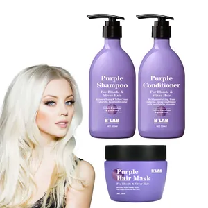 Private Label New Design Moisturizing Anti Yellow Purple Balancing Blond Sliver Shampoo And Conditioner With Purple Hair Mask