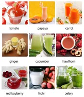 Roestvrijstalen Gembersap Afzuigmachine Vers Fruit Schroef Pers Sapmachine Mango Passie Pulping Juicer Squeezer