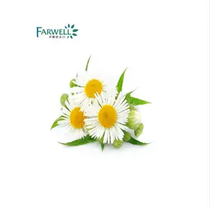 Farwell high quality Chamomile Oil with Reliable Supplier CAS.:8015-92-7