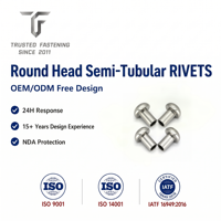 Rivets semi-tubulaires à tête ronde en cuivre TianFang pour prototypes de registres de ventilation, finition étamée, approvisionnement stable par lots