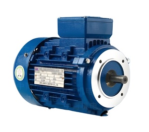 Moteur à haut rendement énergétique de la marque WEG, 1500 tr/min, 440 V, 50 Hz, W20 W21, moteurs en fonte, moteurs triphasés, 5,5 kW, 7,5 kW, 11 kW, 22 kW - Product Image 2