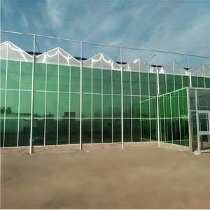 Serre en verre pour la culture des carottes, irrigation de précision et conception de sol aéré, rendement élevé en racines - Product Image 3