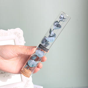 Bouteille <span class=keywords><strong>de</strong></span> souhait en verre T059, 1 pièce, Bouquet <span class=keywords><strong>de</strong></span> fleurs séchées, Tube <span class=keywords><strong>de</strong></span> Test, guirlande Gypsophila, boîte-cadeau pour idées <span class=keywords><strong>de</strong></span> bureau - Product Image 5