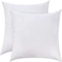 Factory Wholesale Cheap White Polyester Fill Throw Pillow Insert 18X18 Inch  - China Pillow Insert and Pillow price