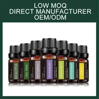 6 * 10ml Set Minyak Wangi Essentials Blends untuk Isi Ulang Diffuser Rumah, Lilin, Pembuatan Slime, Sabun, Pewangi Mobil, Pewangi Cucian, Minyak DIY