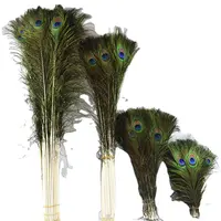 HOT SALE Wholesale 100pcs 24-80 Cmaaaaa Peacock Feathers 