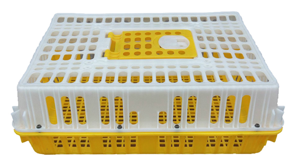 racing pigeon metal crates