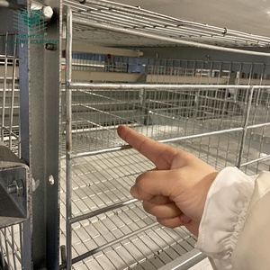 HIGHTOP H tipo chiuso casa di allevamento di pollame sistema automatico completo gabbia di pollo batteria per strati di uova polli - Product Image 5