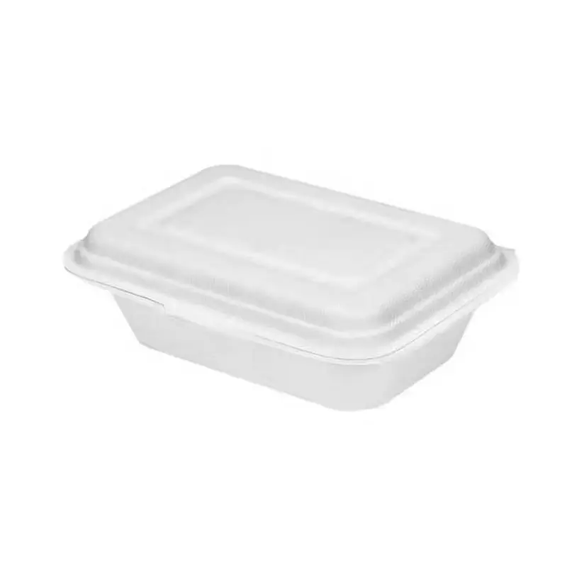 Thực phẩm dùng một lần Khay giấy lấy đi container thức ăn nhanh vỏ sò mía bã mía 600ml hộp dùng một lần tấm và ly