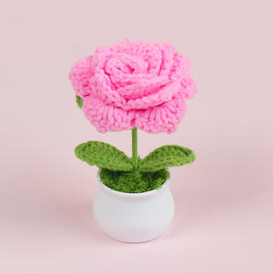 Maceta tejida de punto hecha a mano con pétalos puntiagudos de ganchillo y rosas para novia, graduación, Día de San Valentín, regreso a la escuela - Product Image 5