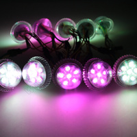 Lumière ponctuelle LED RGB 12V 24V étanche pour manèges, IP66 pour parcs d'attractions et aménagements paysagers