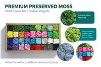 Mousse de renne stabilisée verte naturelle, Kit DIY, Décoration murale artistique, Décoration florale, Halloween, Longue durée 3-5 ans, pour la décoration d'événements