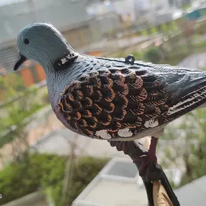 Leurre de pigeon de chasse en plastique PE pour décoration de jardin leurre de pigeon en plastique pour effrayer les oiseaux