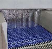 Machine d'injection de saumure industrielle et commerciale automatique pour la transformation de la viande, haute capacité pour les viandes de poulet