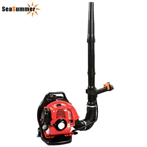 Seasummer Professional gasoline engine 31cc EB310 backpack leaf blower EB310 garden blower