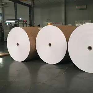 70gsm 75gsm 80gsm Copy Paper Jumbo Roll for office Paper A4 paper 80gsm