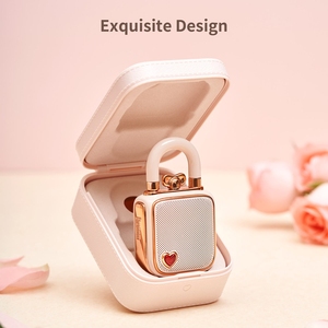 ลำโพง <span class=keywords><strong>Divoom</strong></span> LoveLock 5W ดีไซน์ย้อนยุค น่ารัก ขนาดเล็ก สีชมพู สำหรับสาวๆ ของขวัญใหม่ปี 2026 - Product Image 4