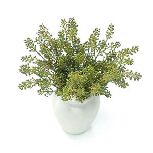 Plante artificielle en pot de 39 cm de haut, imitation bonsaï de haricots, 2 tiges, en céramique, avec adhésif thermofusible, pour décoration intérieure - Product Image 4