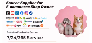 Shampooing pour animaux de compagnie à l'avoine naturelle et à l'aloe vera, marque privée, soin de la peau, shampooing biologique pour chiens et chats - Product Image 6
