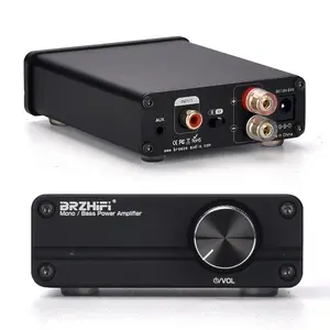 BRZHIFI TPA3116 Aluminum Chassis Subwoofer Digital Amplifier Home Theater Stereo HIFI Amp SUB/SWF-OUT Mini Mono Amplificador