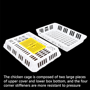 Usine vente plastique volaille chiffre d'affaires boîte volaille poulet canard pliable élevage transport Cage - Product Image 3