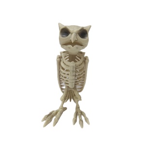 Veterinary Model Biology Anatomical Teaching Medical Science <b>Animal</b> Owl Skeleton Model - Product Image 1