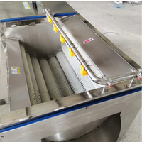 Machine à éplucher les pommes de terre et le manioc 1000 kg/h, éplucheuse continue, machine à laver les légumes, machine commerciale de nettoyage des oranges