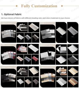 Tùy Chỉnh Google Nhà Ứng Dụng Điều Khiển Từ Xa 38Mm Úc Phong Cách Màn Rèm Động Cơ Điện Con Lăn Ngựa Vằn Mù - Product Image 5